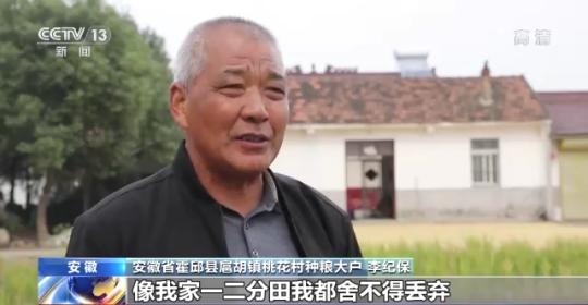 十八連豐！秋收近九成 我國糧食產(chǎn)能穩(wěn)步提升