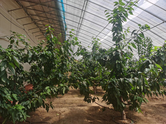 1751936730108414.jpg 經濟1.jpg