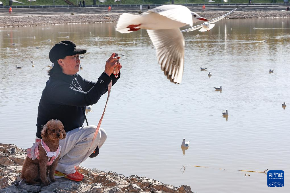 1762136943102764.jpg _DSC3231.jpg