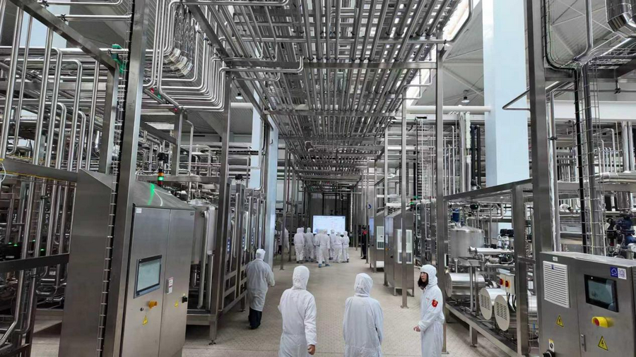 1764818277615784.png 01e87609dc7bf9a79d080c384c81fa53.png