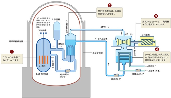 核電站運作原理圖。通常的核電站排水未直接接觸核燃料。（圖片來源：日本北海道電力株式會社網站）