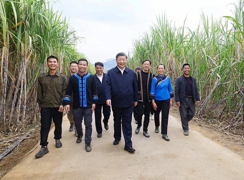 2023年12月14日，習(xí)近平總書記在廣西來賓市國(guó)家現(xiàn)代農(nóng)業(yè)產(chǎn)業(yè)園黃安優(yōu)質(zhì)“雙高”糖料蔗基地考察。