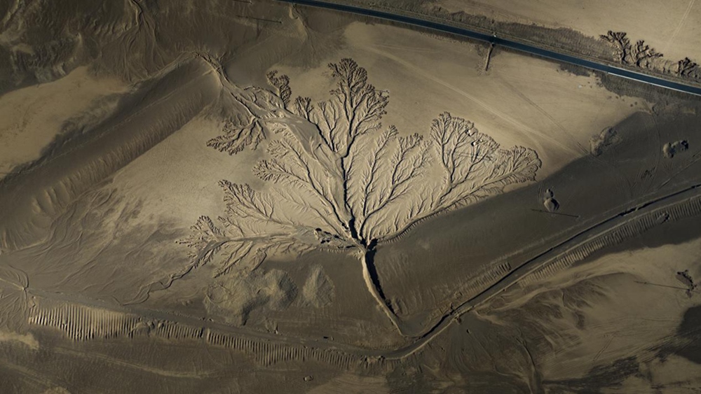 無人機視角下的西藏阿里地區(qū)改則縣“大地之樹”景觀。尼瑪多吉攝