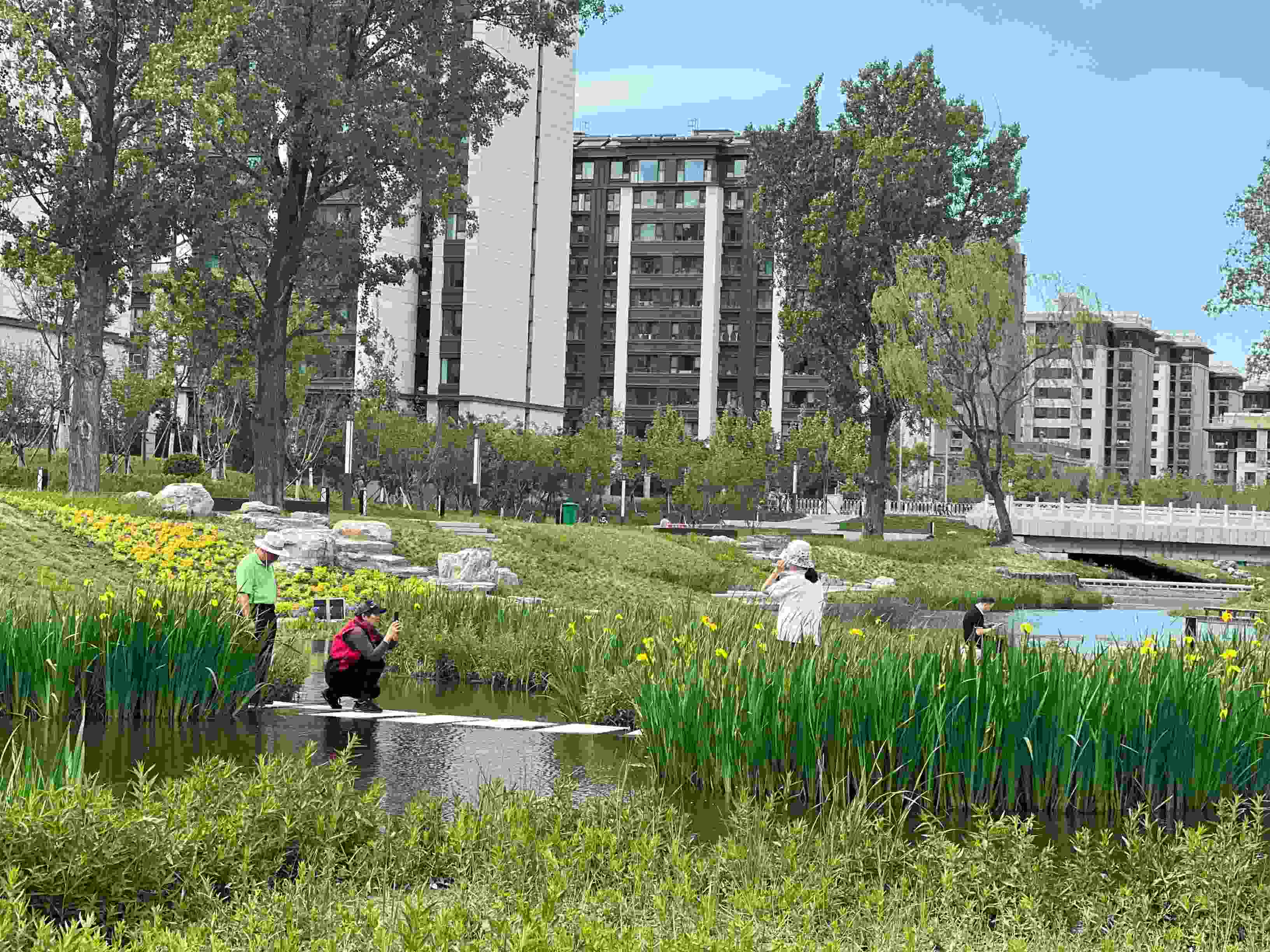 五一渠生態(tài)濱河公園內(nèi)，市民正在拍照留念。人民網(wǎng) 歐陽(yáng)易佳攝