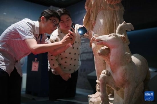 7月2日，安徽博物院工作人員在拍攝開箱后的古希臘文物。新華社記者 張端 攝