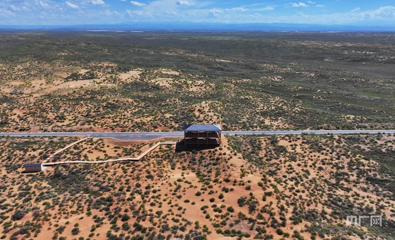 古浪縣一代代人治沙不息，讓綠色向沙漠深處不斷延伸（央廣網(wǎng)記者 李紅軍 攝）