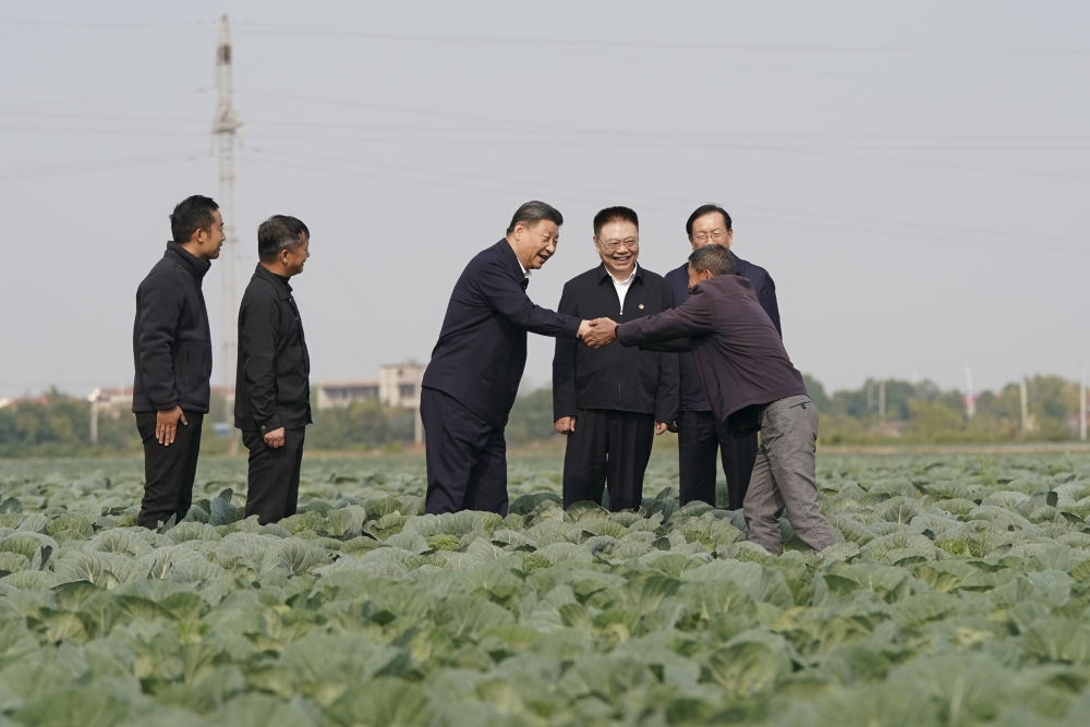 2024年11月5日，習(xí)近平在咸寧市嘉魚縣潘家灣鎮(zhèn)十里蔬菜長廊考察時(shí)，同菜農(nóng)親切交流。