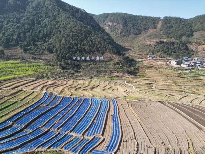 △近日，四川涼山一現(xiàn)代農(nóng)業(yè)園春耕育秧搶農(nóng)時。